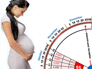 cara menghitung usia kehamilan dalam minggu