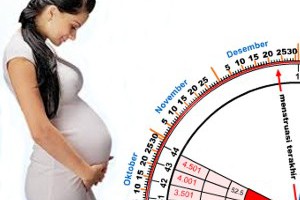 menghitung usia kehamilan online